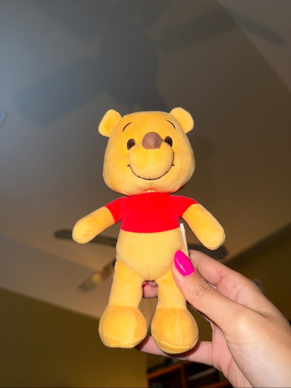 Winnie the Pooh Nuimo